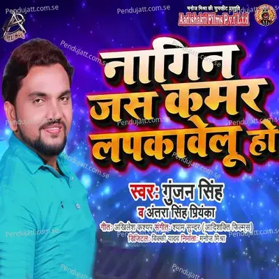 Nagin Jas Kamar Lapkavelu Ho - Gunjan Singh album cover 