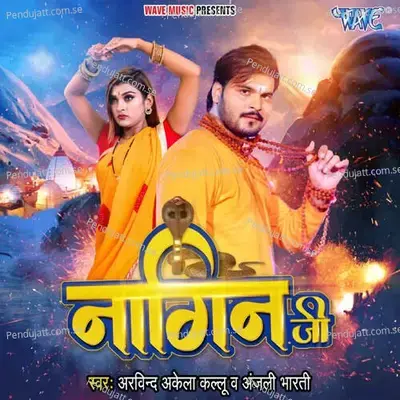 Nagin Ji - Arvind Akela album cover 