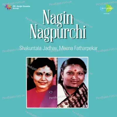 Nako Re Dharu Waat - Kumari Meena Fatharpekar album cover 