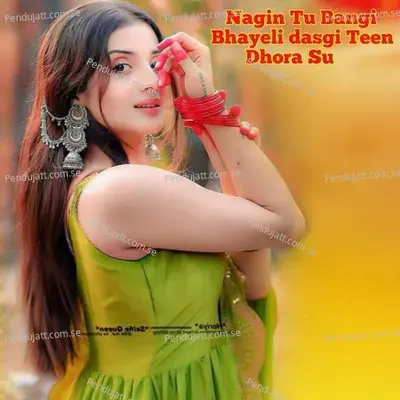 Nagin Tu Bangi Bhayeli Dasgi Teen Dhora Su - Singer Heeralal Saini album cover 
