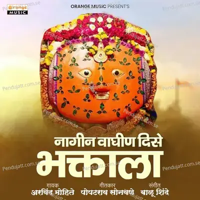Nagin Waghin Dise Bhaktala mp3 song