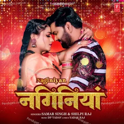 Naginiyan - Samar Singh album cover 