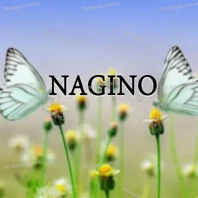 Nagino - SANWAR MALI MALIPURA album cover 