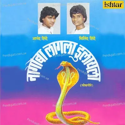 Phana Kadhun Nagoba Dultoy Ga - Vitthal Shinde album cover 