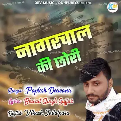 Nagrchal Ki Chori - Bharat Singh cover album