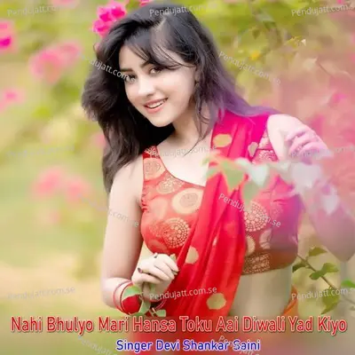 Nahi Bhulyo Mari Hansa Toku Aai Diwali Yad Kiyo - Devi Shankar Saini album cover 