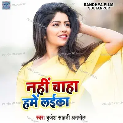 Nahi Chahi Hme Laika - Brijesh Shahni Anmol album cover 