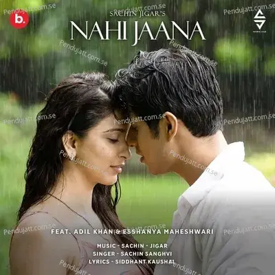 Nahi Jaana - Sachin Sanghvi album cover 