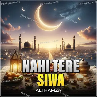 Nahi Tere Siwa - Ali Hamza album cover 