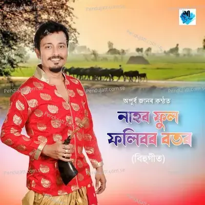 Nahor Ful Fulibor Botor - Apurba Jaan album cover 