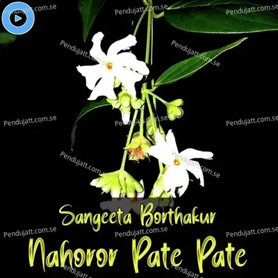 Nahoror Pate Pate - Sangeeta Borthakur album cover 