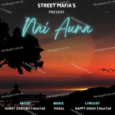 Nai Auna - Street Mafias album cover 
