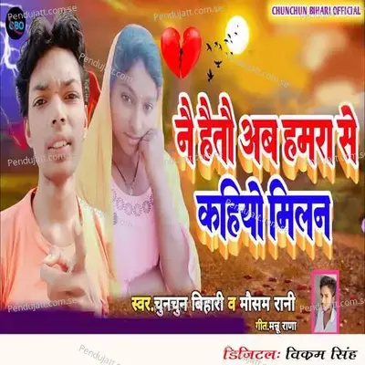 Nai Haitau Ab Hamara Se Kahiyo Milan - Chunchun Bihari album cover 