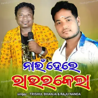 Nai Hele Rourkela - Trishul Bhanja album cover 