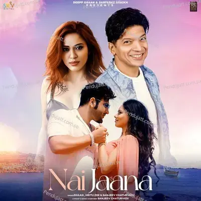 Nai Jaana - Sanjeev Chaturvedi album cover 