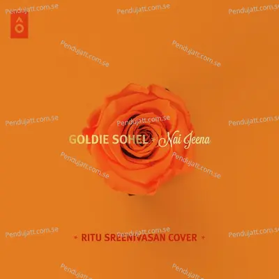 Nai Jeena - Goldie Sohel album cover 