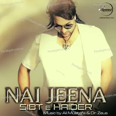 Lagay Na Yeh Dil - Sibt E Haider album cover 