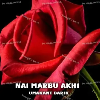 Nai Marbu Akhi - Umakant Barik album cover 