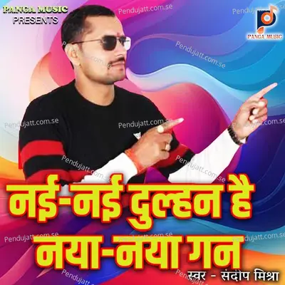 Nai Nai Dulhi Hai Naya Naya Gun - Sandeep Mishra album cover 