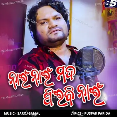 Nai Nai Mada Pibi Nahin - Humane Sagar album cover 