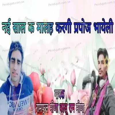 Nai Saal Ke Malah Kargi Purpose Bhayeli - Ramfool Meena album cover 