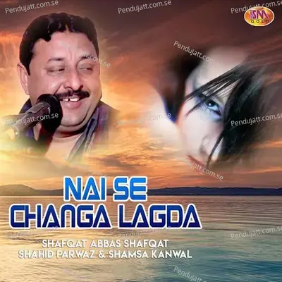 Din Reh Gy Ne Do Char - Shahid Parwaz album cover 