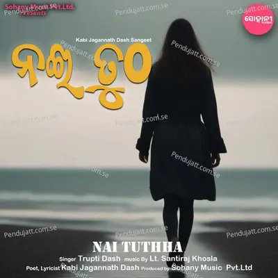 Nai Tuthha - Trupti Dash album cover 