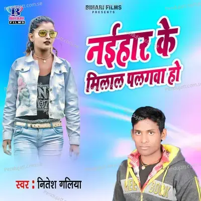 Naihar Ke Milal Planwa Ho - Nitesh Galiya album cover 