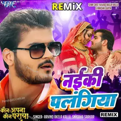 Naiki Palangiya - Remix - Arvind Akela Kallu album cover 