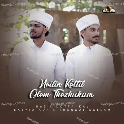 Nailin Kattil Olam Thazhukum - Nazil Kottakkal album cover 