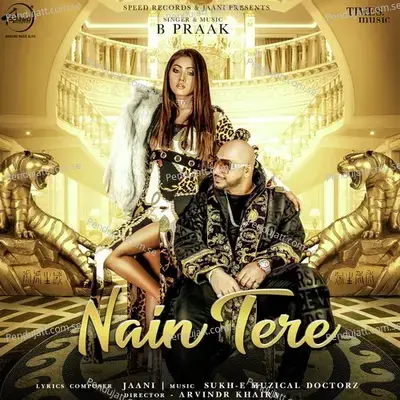 Nain Tere - B Praak album cover 