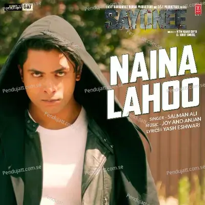 Naina Lahoo - Salman Ali album cover 