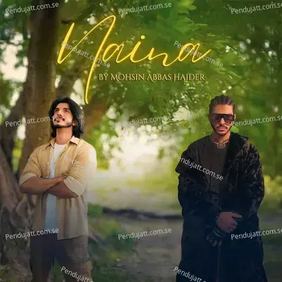 Naina - Mohsin Abbas Haider album cover 