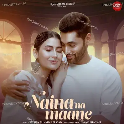 Naina Na Maane - Salman Ali album cover 