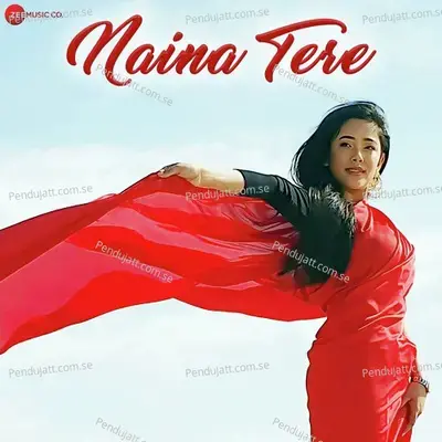 Naina Tere - Alok Desai album cover 