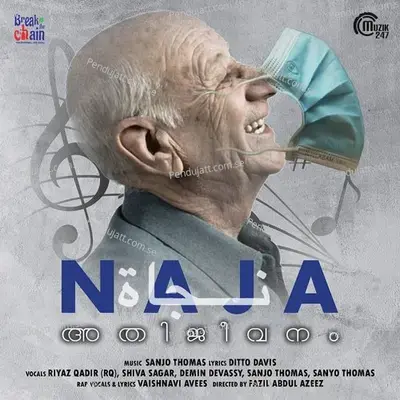 Naja - Riyaz Qadir album cover 