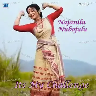 Najanilu Nubojulu - Dibya album cover 