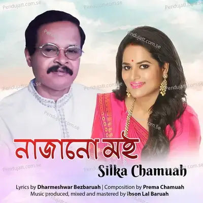 Najanu Moi - Silka Chamuah Bayan album cover 