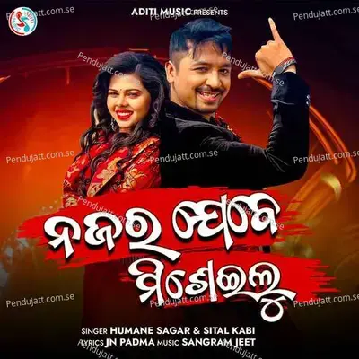 Najara Jebe Miseilu - Humane Sagar album cover 