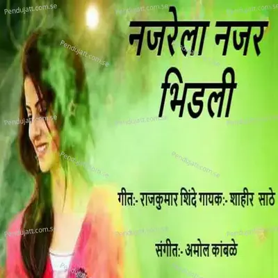 Najarela Najar Bhidali - Shaheer Sathe album cover 