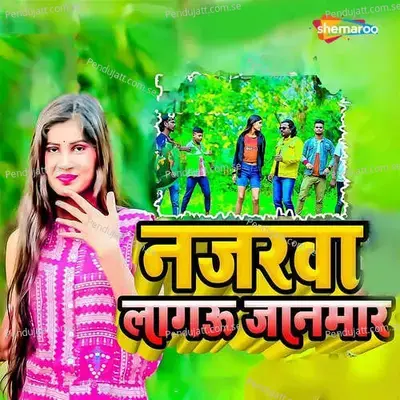 Najarwa Lagau Janmar - Sanoj Diwana album cover 