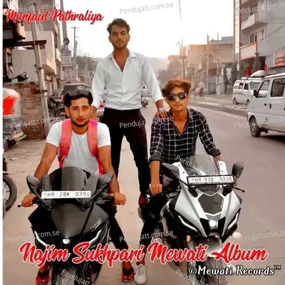 Najim Sukhpari Mewati Album - Munfaid Pathraliya album cover 