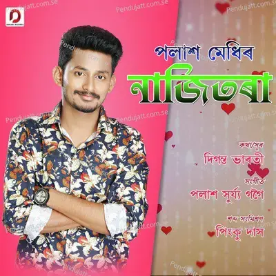 Najitora - Palash Medhi album cover 