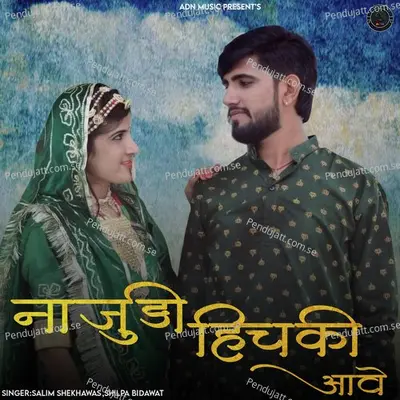 Najudi Hichki Aave - Salim Shekhawas album cover 