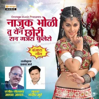 Najuk Bholi Tu Yen Chori - Sandeep Bhure album cover 