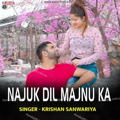 Najuk Dil Majnu Ka - Krishan Sanwariya album cover 