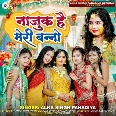 Najuk Hai Meri Banno - Alka Singh Pahadiya album cover 