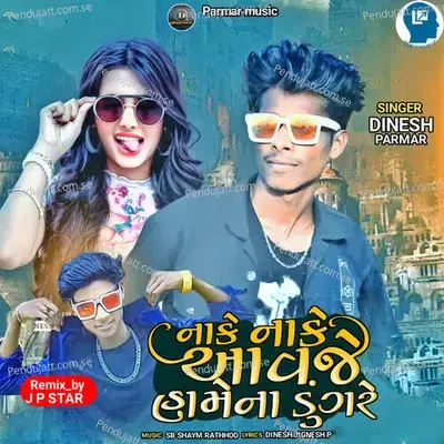 Nake Nake Aavje Hamena Dungare - Dinesh Parmar album cover 