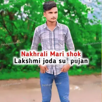 Nakhrali Mari Shok Lakshmi Joda Su  Pujan - Hansraj Gurjar album cover 