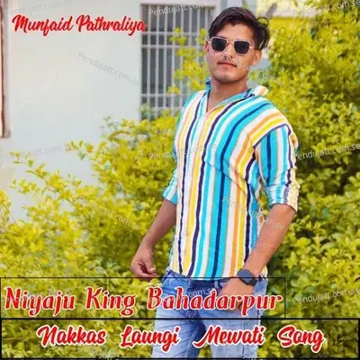 Nakkas Laungi Mewati Song Niyaju King Bahadarpur - Munfaid Pathraliya album cover 